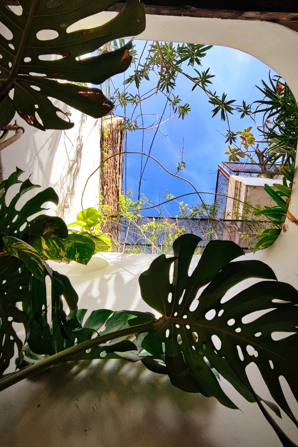 MINI CARRUSEL INICIO (4)